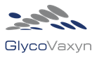 Logo Glycovaxin